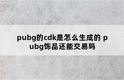 pubg的cdk是怎么生成的 pubg饰品还能交易吗